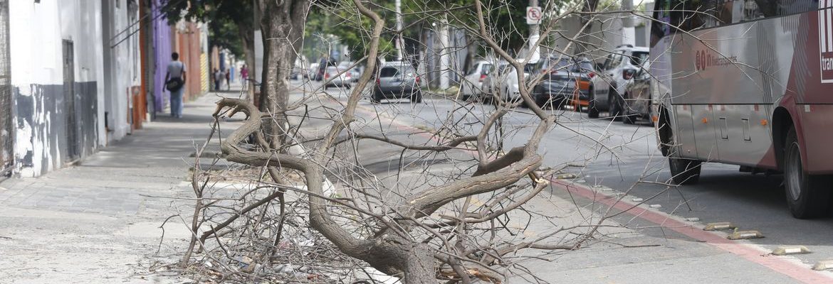 Chuva forte deixa mais de 1 milhão sem luz nesta tarde em São Paulo