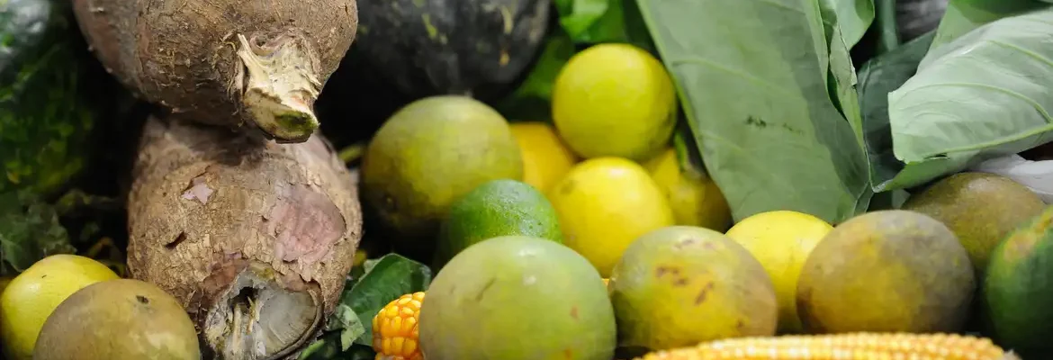 Preço da cesta básica cai em 15 de 17 capitais pesquisadas