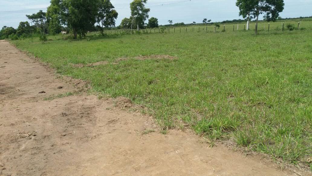 Venda de Lotes – Carapebus, RJ