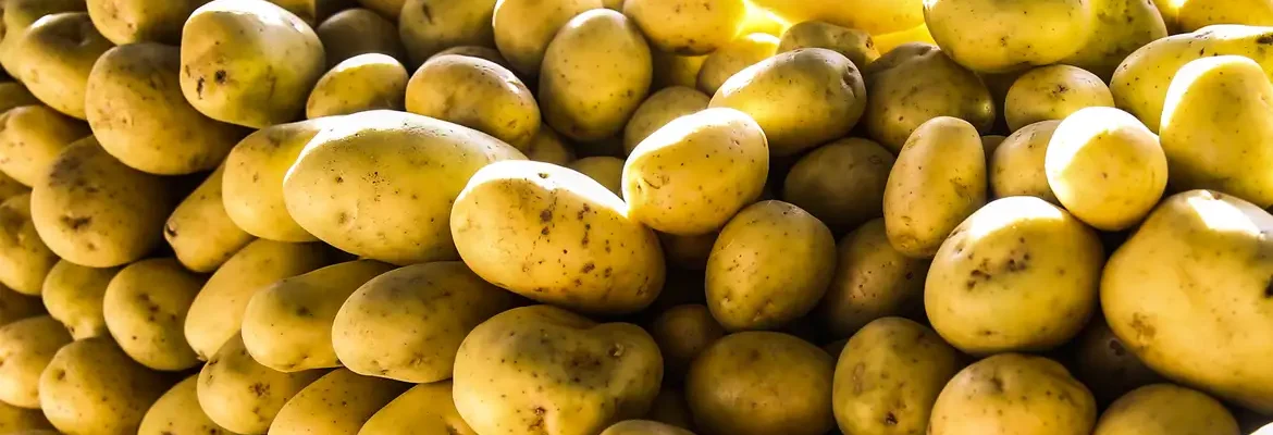 Batata, ovos e verduras reduzem pressão inflacionária em agosto em SP